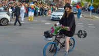 Cortègen 2014