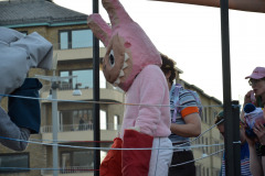 DSC4178