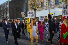IMG_6254