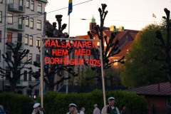 taget-81